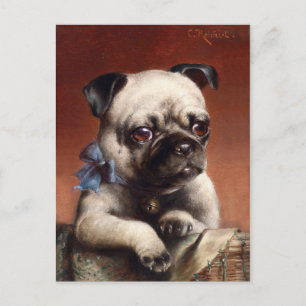 Cute Pug Puppy Dog Postcard