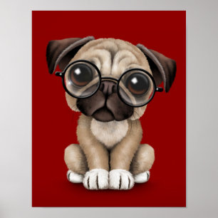 Cute Pug Puppy Dog Wearing Reading Glasses, Red Poster