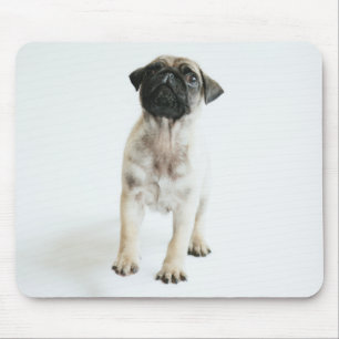 Cute Pug Puppy Mouse Mat