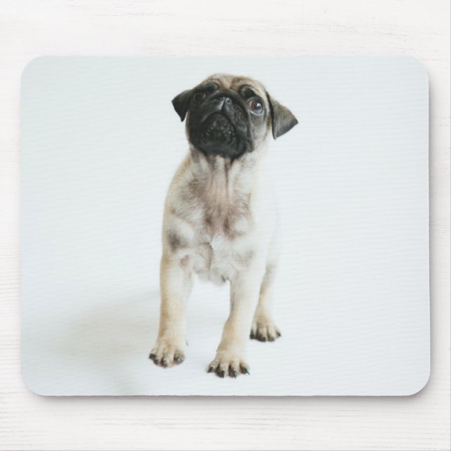 Cute Pug Puppy Mouse Mat (Front)