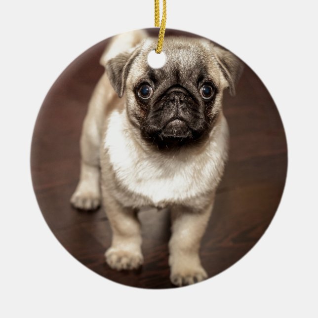 Cute Pug Puppy Photo Ceramic Tree Decoration (Front)