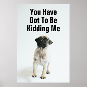Cute Pug Puppy Poster