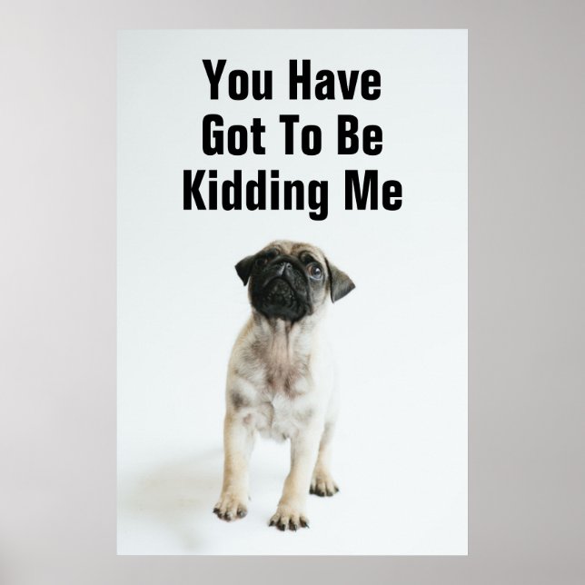 Cute Pug Puppy Poster (Front)