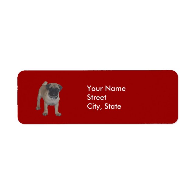 Cute Pug Puppy Return address label (Front)