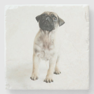 Cute Pug Puppy Stone Coaster