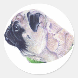 Cute Pug Stickers