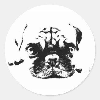 Cute Pug Vintage Hipster Sticker