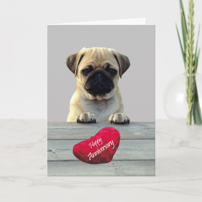 Cute Pug Wishing Happy Anniversary greeting card (Front)