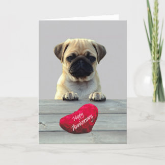 Cute Pug Wishing Happy Anniversary greeting card