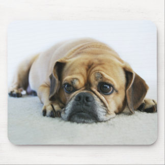 Cute Puggle Mousepad