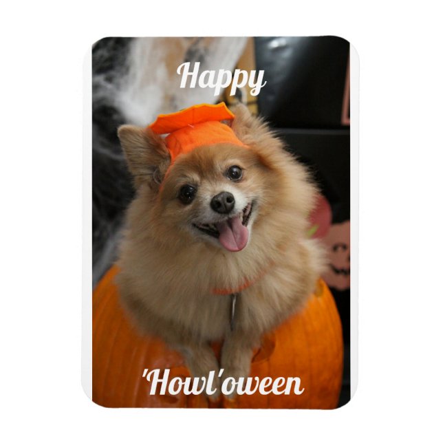 Cute Pumpkin Dog Photo Magnet (Vertical)