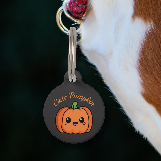 Cute Pumpkin Pet Tag (Cute Pumpkin Pet Tag)