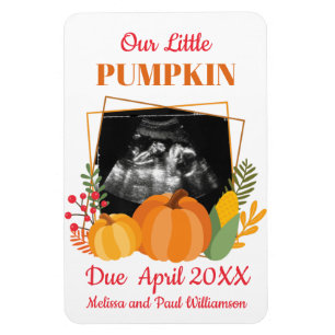 Cute Pumpkin Pregnancy Announcement Baby Scan Magnet