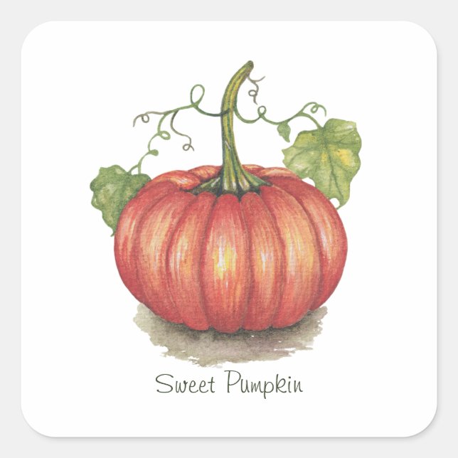 Cute Pumpkin With Vines In Watercolor Square Sticker (Front)