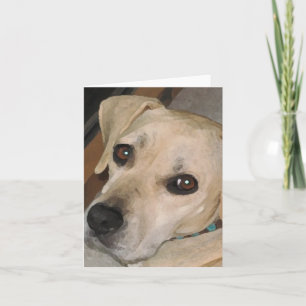 Cute pup notecards