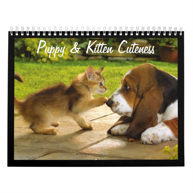 Cute Puppies and Kittens 2018 Calendar (Cover)