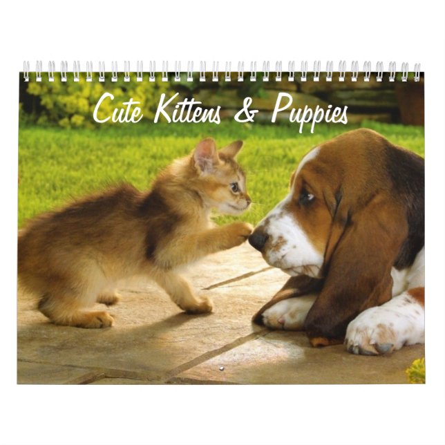 Cute Puppies and Kittens Calendar (Cover)