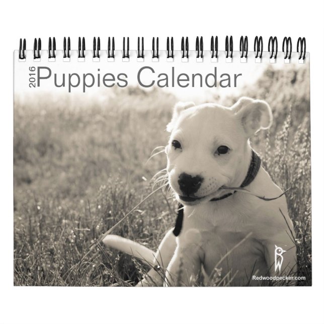 Cute Puppies Calendar 2016 (Cover)