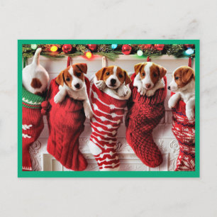 Cute puppies inside Christmas Stockings Holiday Postcard
