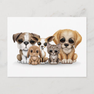 Cute Puppies, Kitten and Bunny Pet Portrait White Postcard