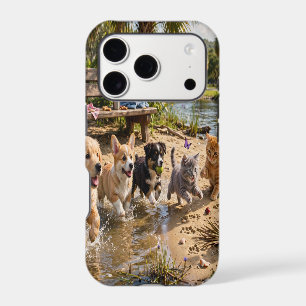 Cute Puppies & Kittens Riverside Adventure iPad