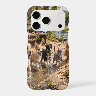 Cute Puppies & Kittens Riverside Adventure iPhone