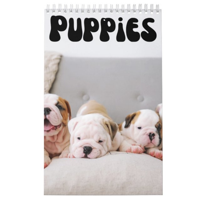 Cute Puppies Monthly Wall Calendar (Cover)