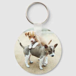 Cute Puppies Playing on Beach Key Ring