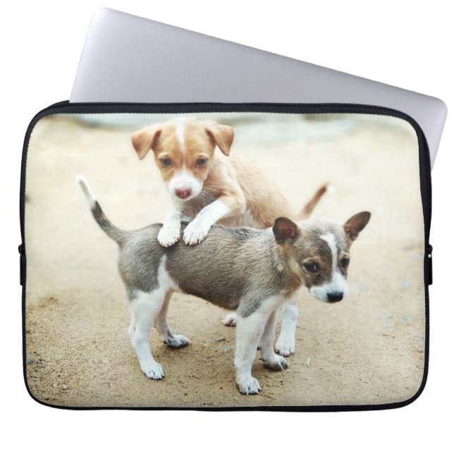Cute Puppies Playing on Beach Laptop Sleeve (Front)