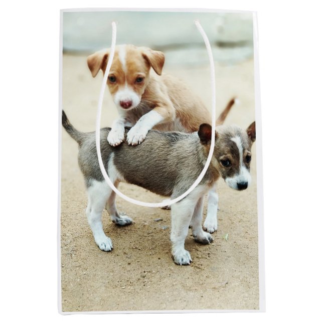 Cute Puppies Playing on Beach Medium Gift Bag (Front)