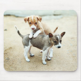 Cute Puppies Playing on Beach Mouse Mat