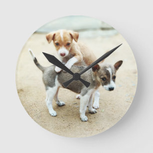 Cute Puppies Playing on Beach Round Clock