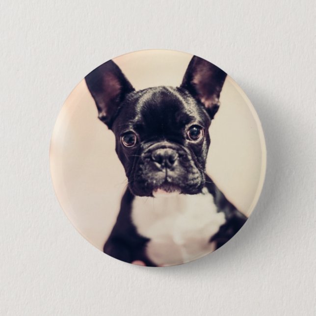 cute puppy 6 cm round badge (Front)