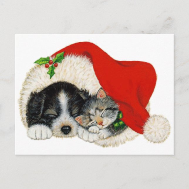 Cute Puppy And Kitten Sleep In A Santa Hat Holiday Postcard (Front)