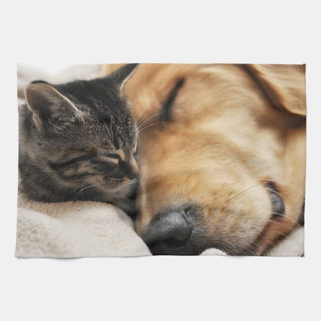 Cute Puppy and Kitten Tea Towel (Horizontal)