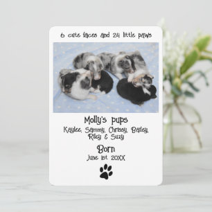 Cute Puppy Birth Announcement Card