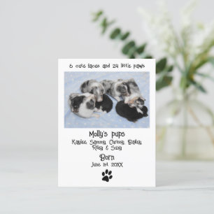 Cute Puppy Birth Announcement Postcard