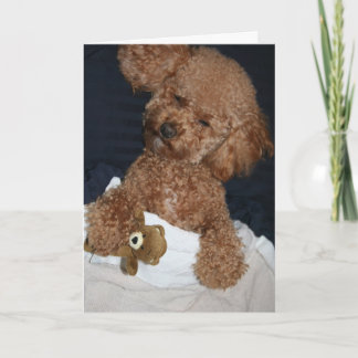 Cute Puppy Birthday Card
