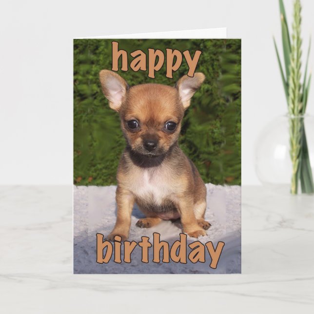Cute Puppy Birthday Card (Front)