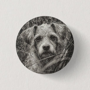 Cute Puppy Black and Whie Portrait Photograph 3 Cm Round Badge