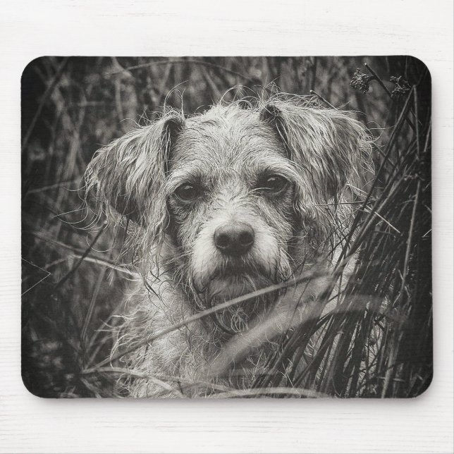 Cute Puppy Black and Whie Portrait Photograph Mouse Mat (Front)