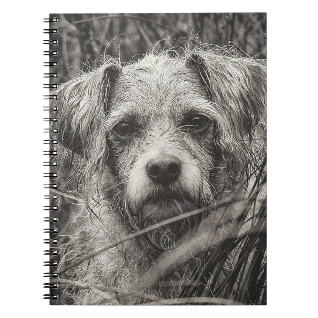 Cute Puppy Black and Whie Portrait Photograph Notebook (Front)