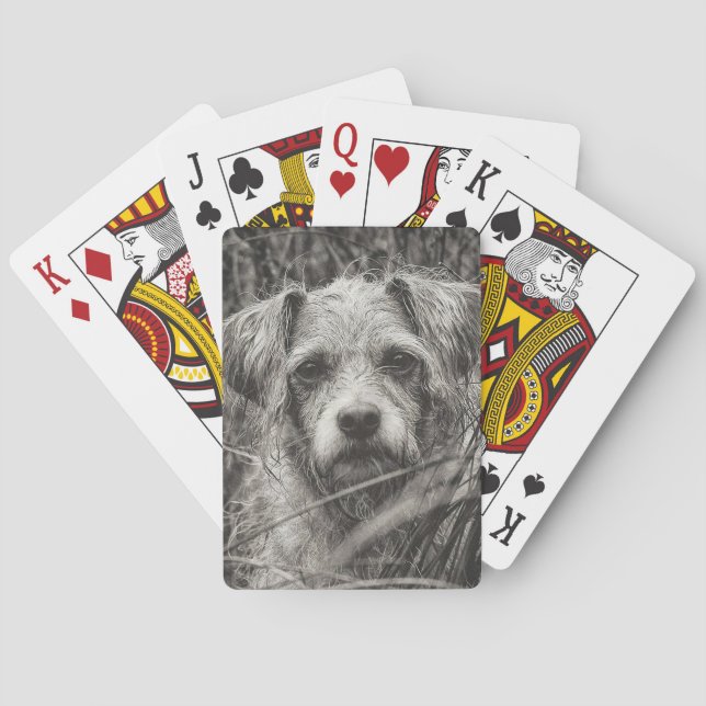 Cute Puppy Black and Whie Portrait Photograph Playing Cards (Back)