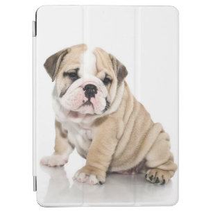 Cute Puppy Bulldog Sad iPad Air Cover