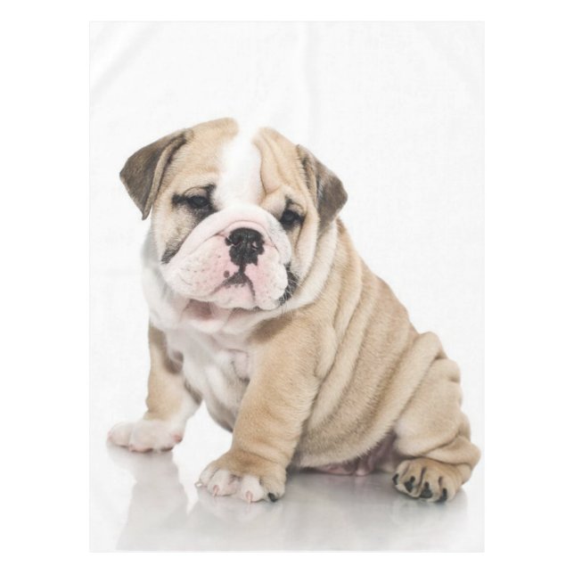 Cute Puppy Bulldog Sad Tablecloth (Front)
