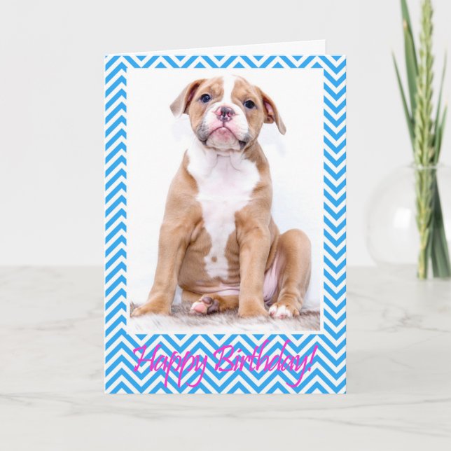Cute Puppy Bulldog Sitting Happy Birthday Card (Front)