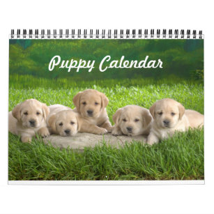 Cute Puppy Calendar