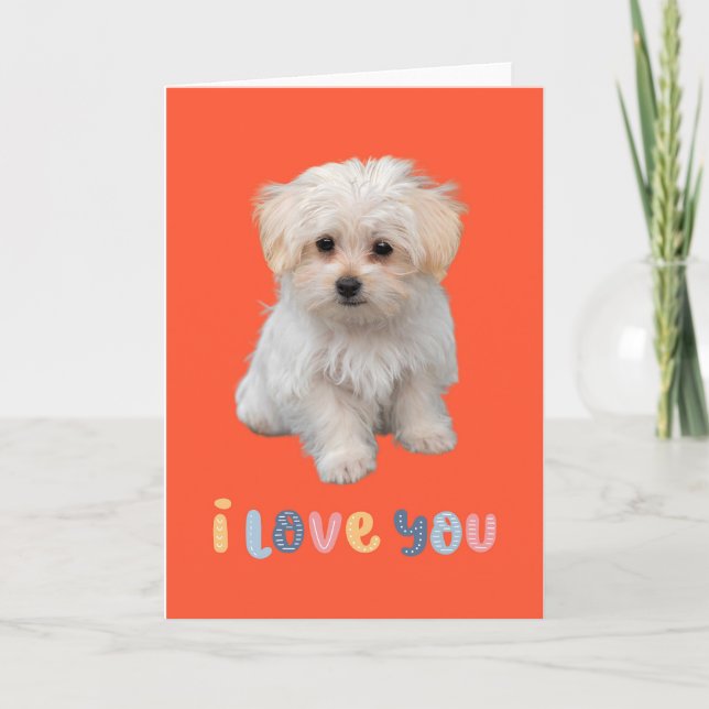 Cute puppy card, I love you, adorable puppy card (Front)
