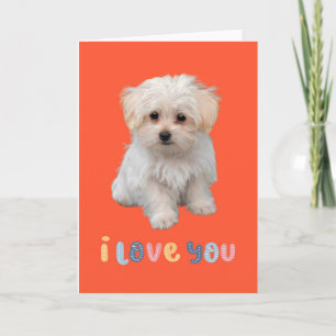 Cute puppy card, I love you, adorable puppy card