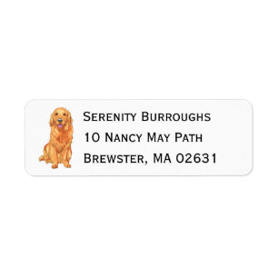 Cute Puppy Cartoon Dog Mum Golden Retriever